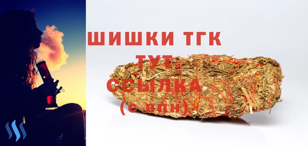 apvp Богородицк