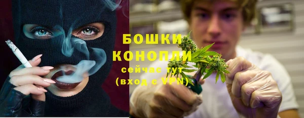 spice Касимов