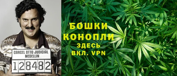 apvp Богородицк