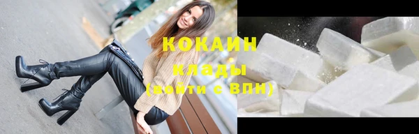 apvp Богородицк