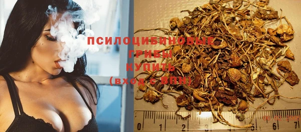 герыч Богородск