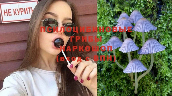 apvp Богородицк