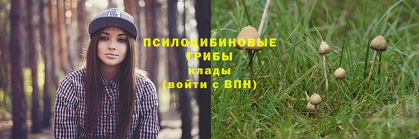 герыч Богородск