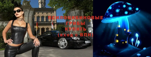 apvp Богородицк