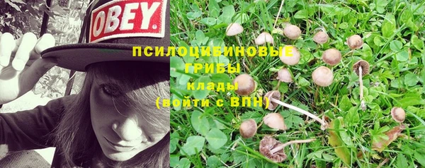 2c-b Богданович