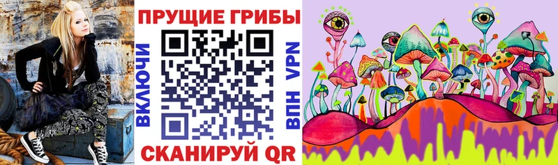 блэк спрут tor  как найти наркотики  Кореновск  Псилоцибиновые грибы ЛСД 